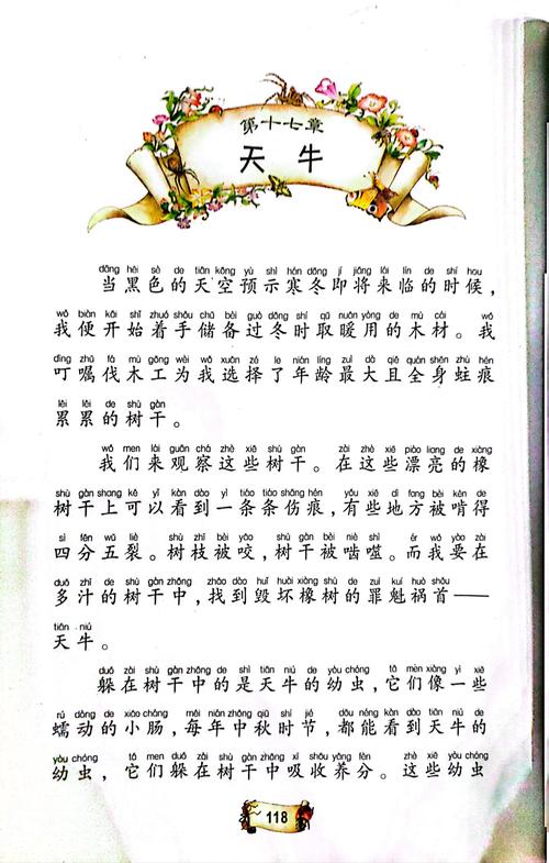 掌中之物全文免费阅读 | 掌中之物小说在线看