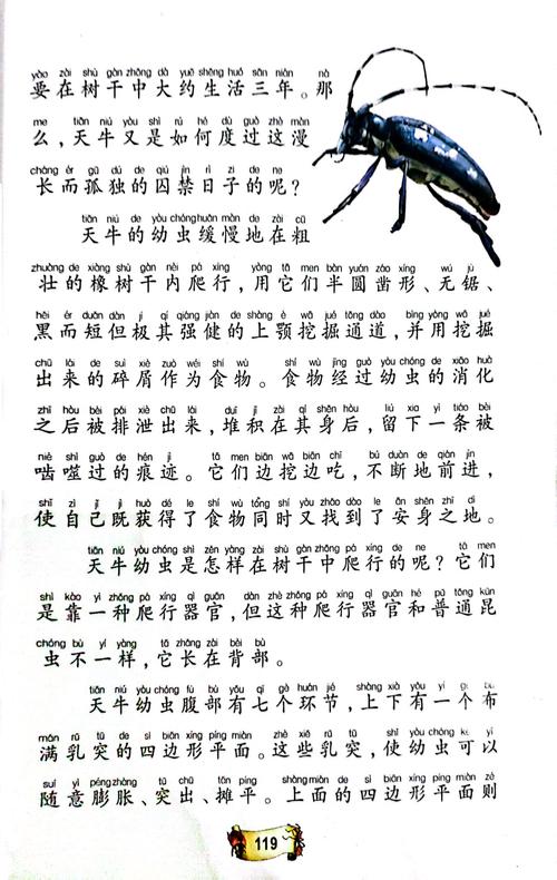 《昆虫记》在线阅读全文｜法布尔经典科普名著