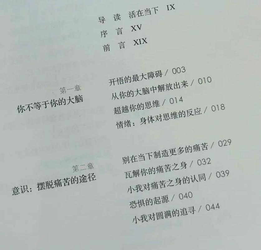 《当下的力量》在线阅读:解锁当下力量,摆脱焦虑与痛苦