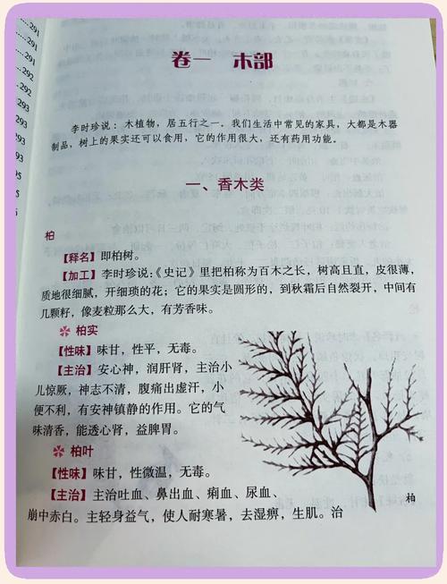 二十四史在线阅读 | 正史典籍全本免费浏览