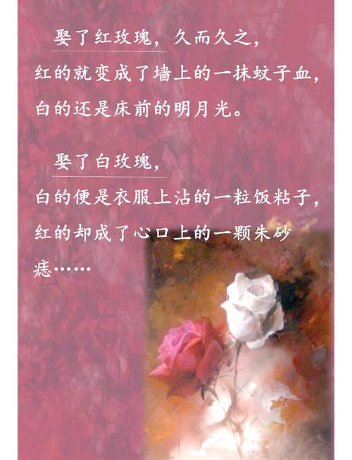 天眼人生全文在线阅读 - 揭秘命运轮回的奇书