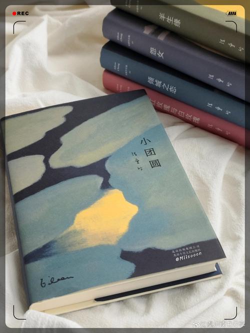 运动裤下的秘密全文免费在线阅读 | 最新章节更新