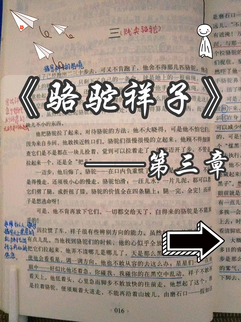 漫漫漫画免费版在线阅读免费观看 - 海量漫画随心看