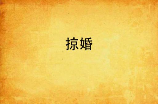 掠婚小说免费阅读在线 | 热门言情全文无广告
