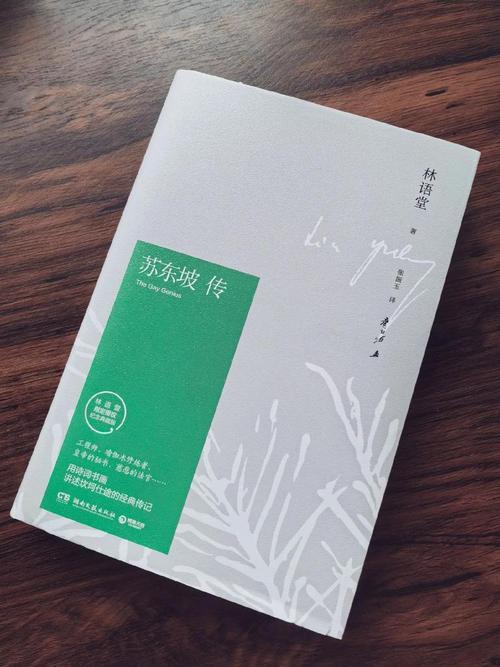 番茄小说免费在线看｜海量正版小说任你读，随时随地畅享阅读！