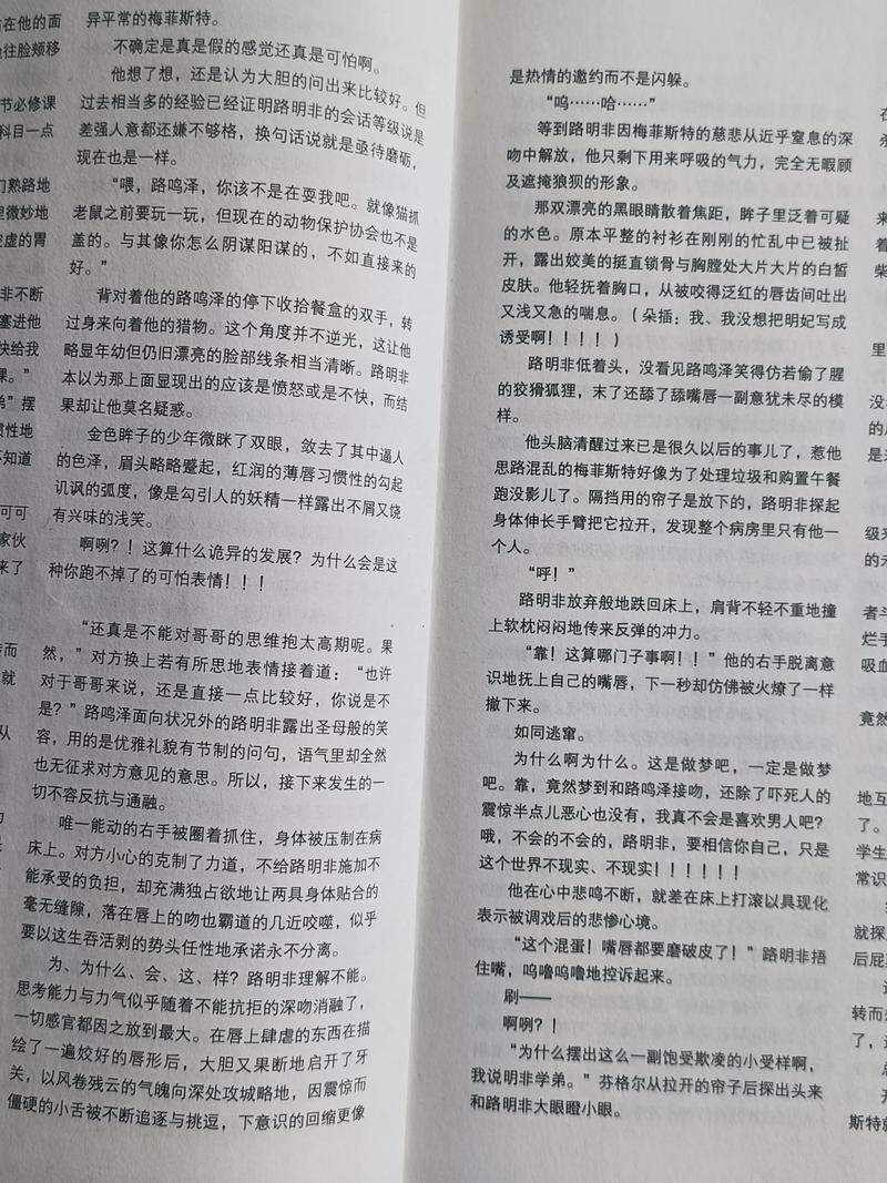 王子的骑士全文免费阅读 | 小说在线阅读