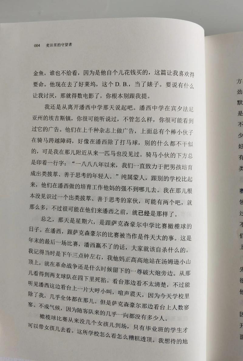 运动裤下的秘密全文免费阅读_小说最新章节_无弹窗
