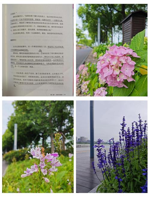 怒晴湘西在线阅读 | 天下霸唱盗墓小说鬼吹灯系列