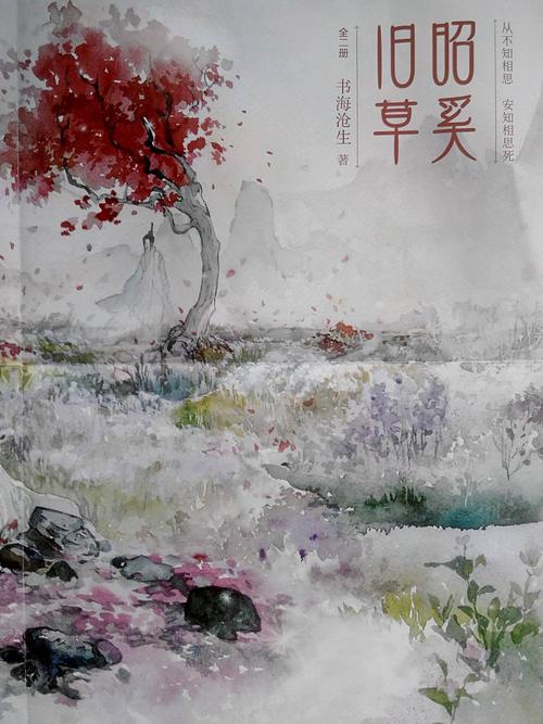 阿宾全文阅读在线78章|免费阅读完整版最新章节