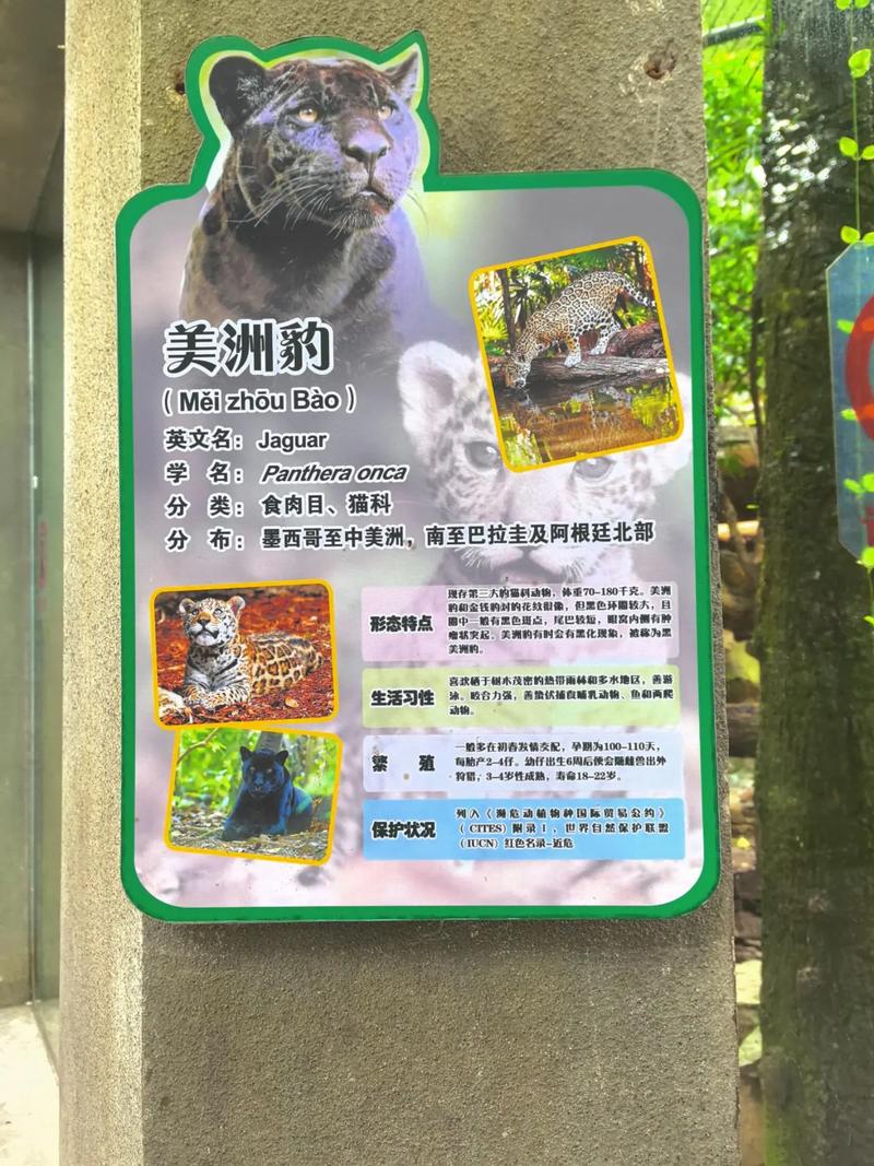 温瑞安小说全集免费在线阅读 | 经典武侠作品在线看