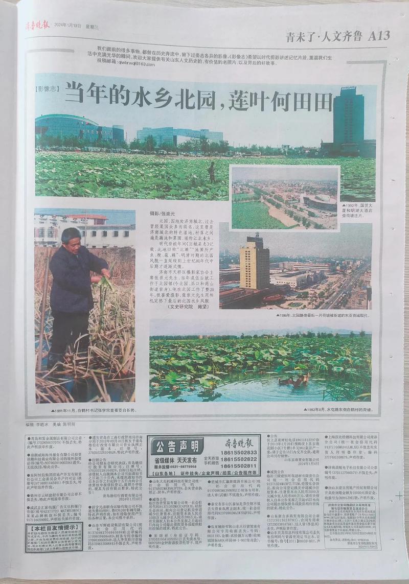 秦岭神树在线阅读 | 盗墓笔记经典章节全文免费看