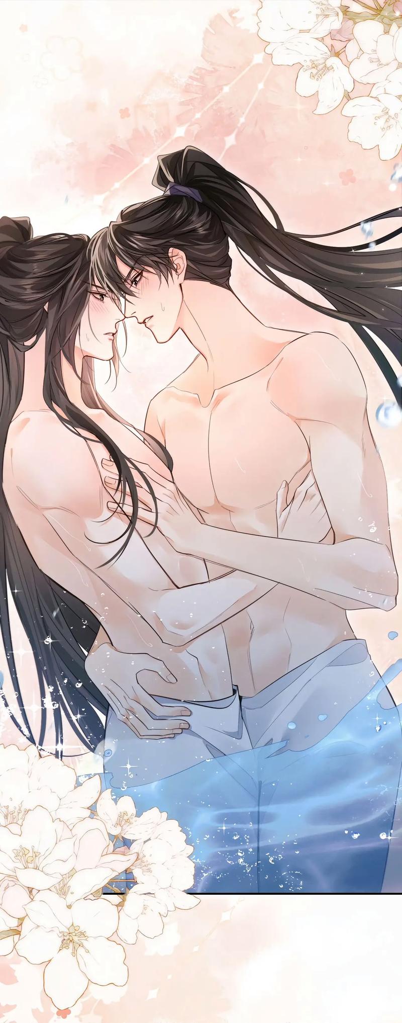 二哈和他的白猫师尊未删减版全文在线阅读