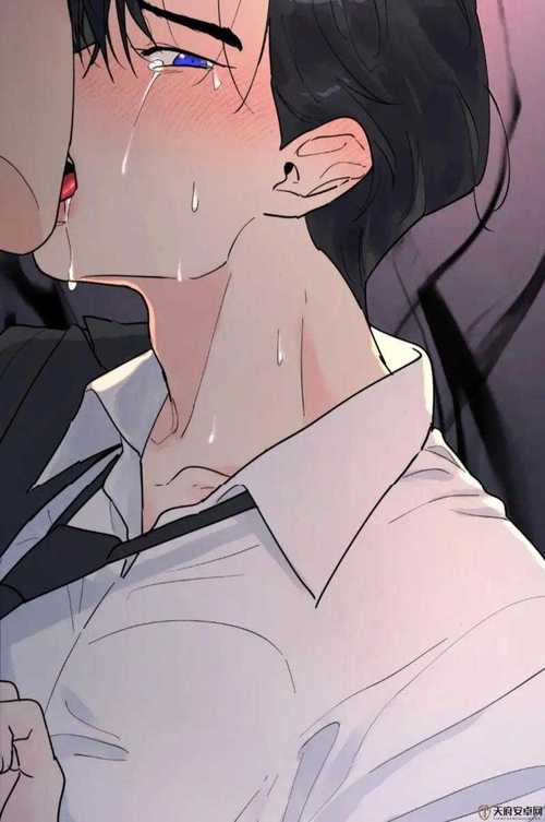 包法利夫人在线阅读 | 经典名著全文免费读