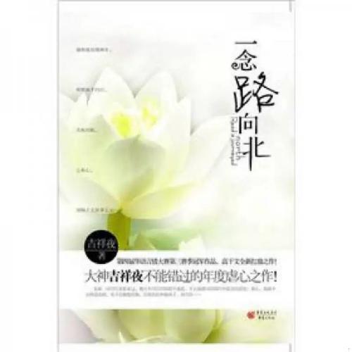 完美人生沈浪小说全文免费阅读_完整版在线阅读