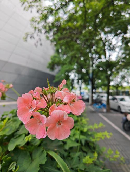 421页PDF在线免费阅读_完整版电子书