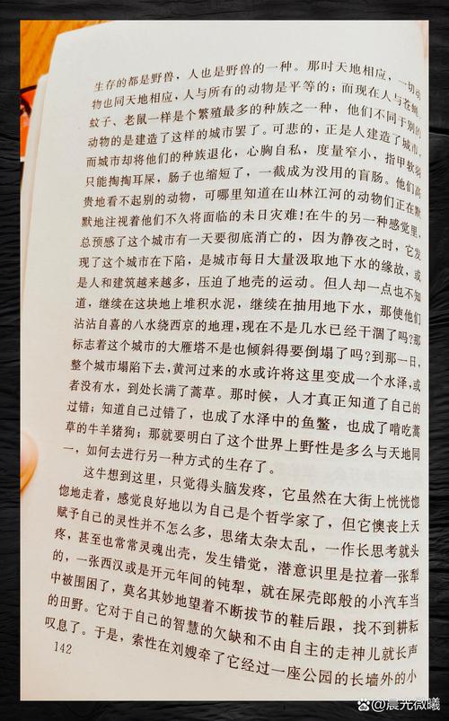 废都小说在线免费阅读，完整版无删减