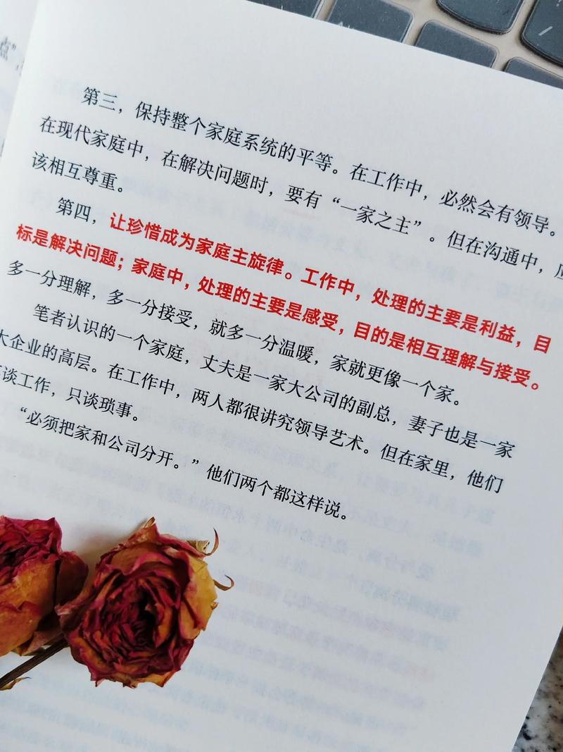 纸玫瑰全文免费在线阅读｜经典言情小说推荐