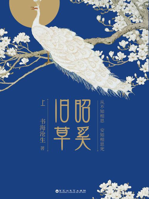 昭奚旧草全文免费在线阅读 | 经典古言小说推荐