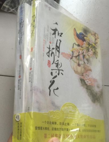 天官赐福小说全文免费阅读 | 完整版在线观看