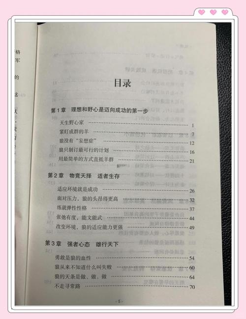 黄金时代全文免费在线阅读 | 王小波经典作品