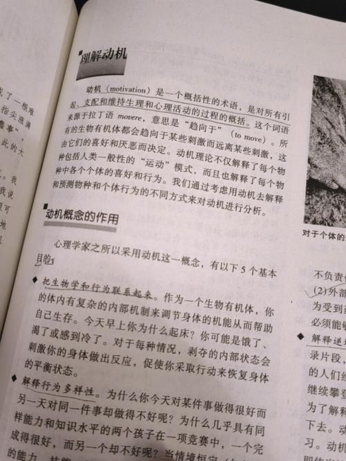 总裁爱妻入骨全文免费阅读_在线无弹窗